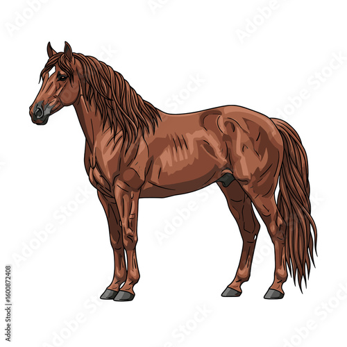 Full profile view of a brown horse, standing still, detailed illustration.