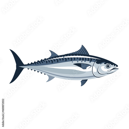 Side view illustration of a tuna fish, showcasing its streamlined body and distinctive markings.