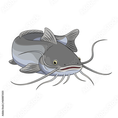 A detailed illustration of a large grey catfish, showcasing its prominent whiskers and fins against a white background.
