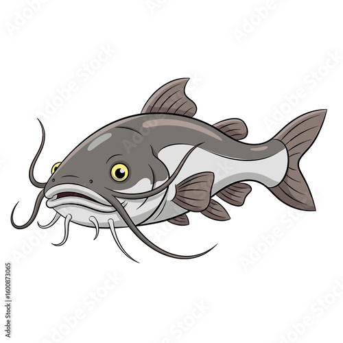 Cartoon illustration of a gray and white catfish with long barbels, fins, and a tail.