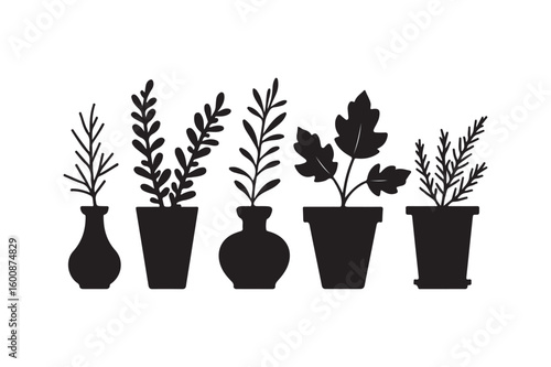 Silhouettes of potted plants in various vases and pots