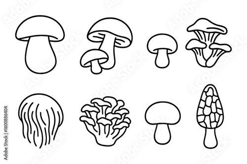 Wild Mushroom Icons. Outline icon set of wild mushroom varieties: porcini, shiitake, oyster mushroom, button