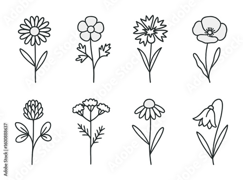 Wildflower Icon Set. Outline icon set of wildflowers in the meadow: daisy, buttercup, cornflower, poppy,
