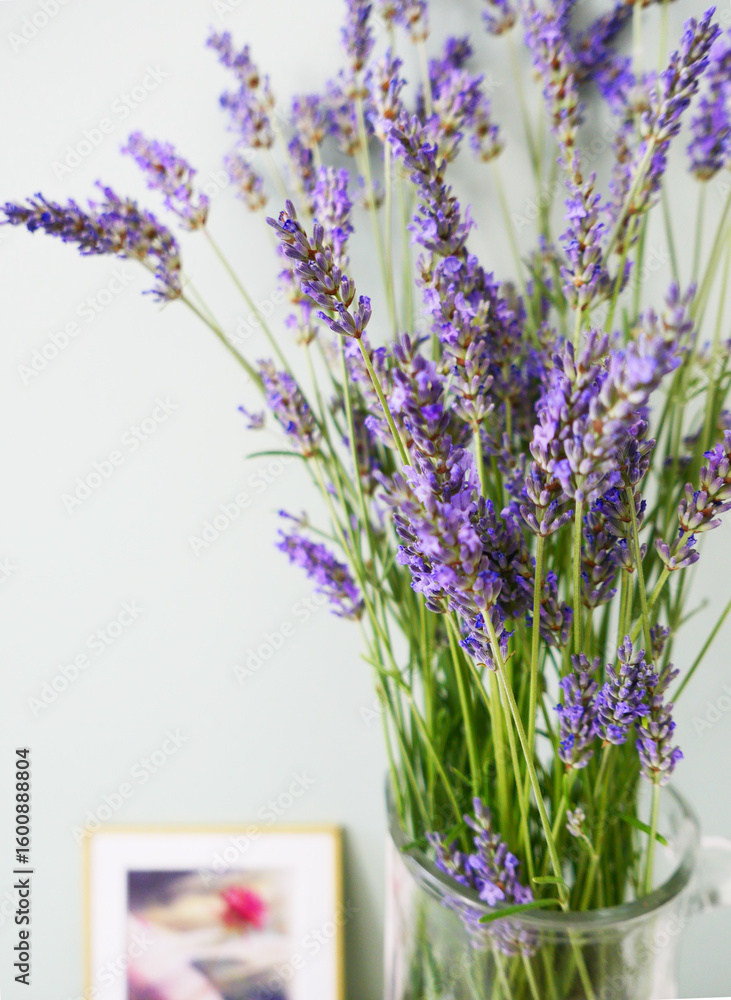 Fototapeta premium Lavande-bouquet-01