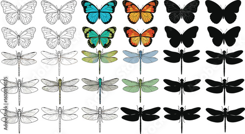 Butterfly and dragonfly illustration set, silhouette outline color comparison grid, flying insect artwork bundle, nature winged species design, entomology education clipart pack