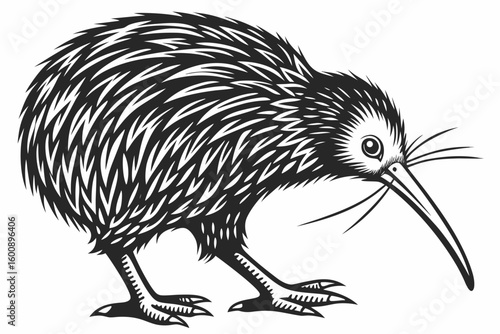 fascinating kiwi sihouette black vector