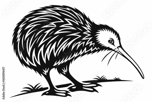 fascinating kiwi sihouette black vector