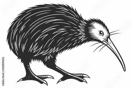fascinating kiwi sihouette black vector