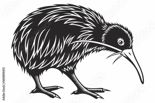 fascinating kiwi sihouette black vector