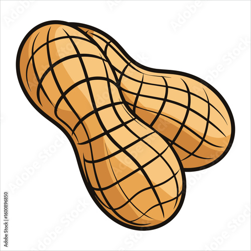 Peanuts isolated on white vector illustration. Simple and clean design ideal for food packaging, snack branding, and nutrition related projects.