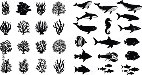 Marine life silhouettes collection, underwater ocean species set, coral seaweed fish design, aquatic biodiversity artwork, dolphin shark whale vector, sea animal clipart bundle