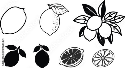 Lemon Fruit Slice Clip art, Lemon Line Art design, Black and White Citrus Vector Illustration with Leaves.