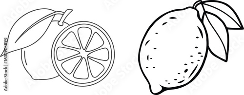Lemon Fruit Slice Clip art, Lemon Line Art design, Black and White Citrus Vector Illustration with Leaves.