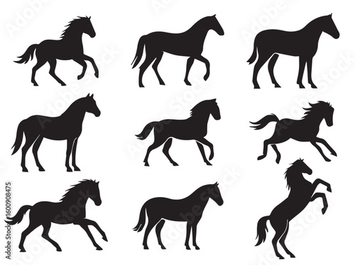 Set of silhouette of horses. Isolated black silhouette  horse on white background