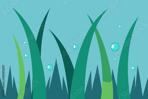 morning dew on meadow grass