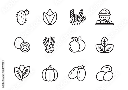 Collection of twelve simple line art icons of fruits vegetables and plants food