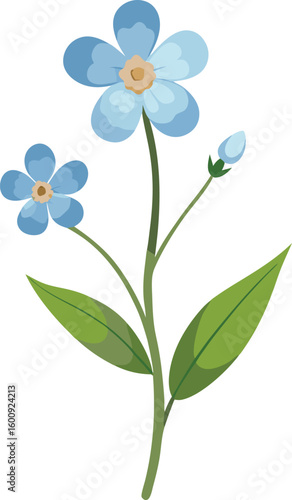 Delicate blue forget me not flower watercolor