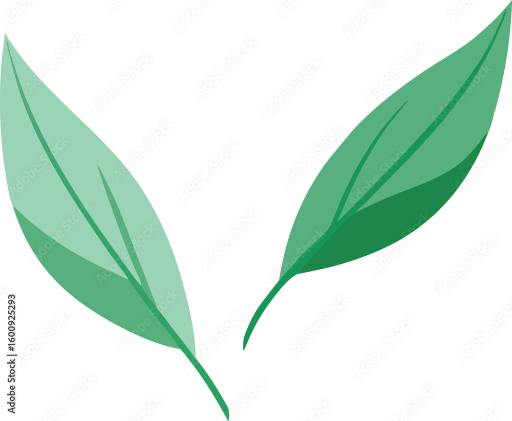 Fototapeta premium Vibrant green leaves vector illustration