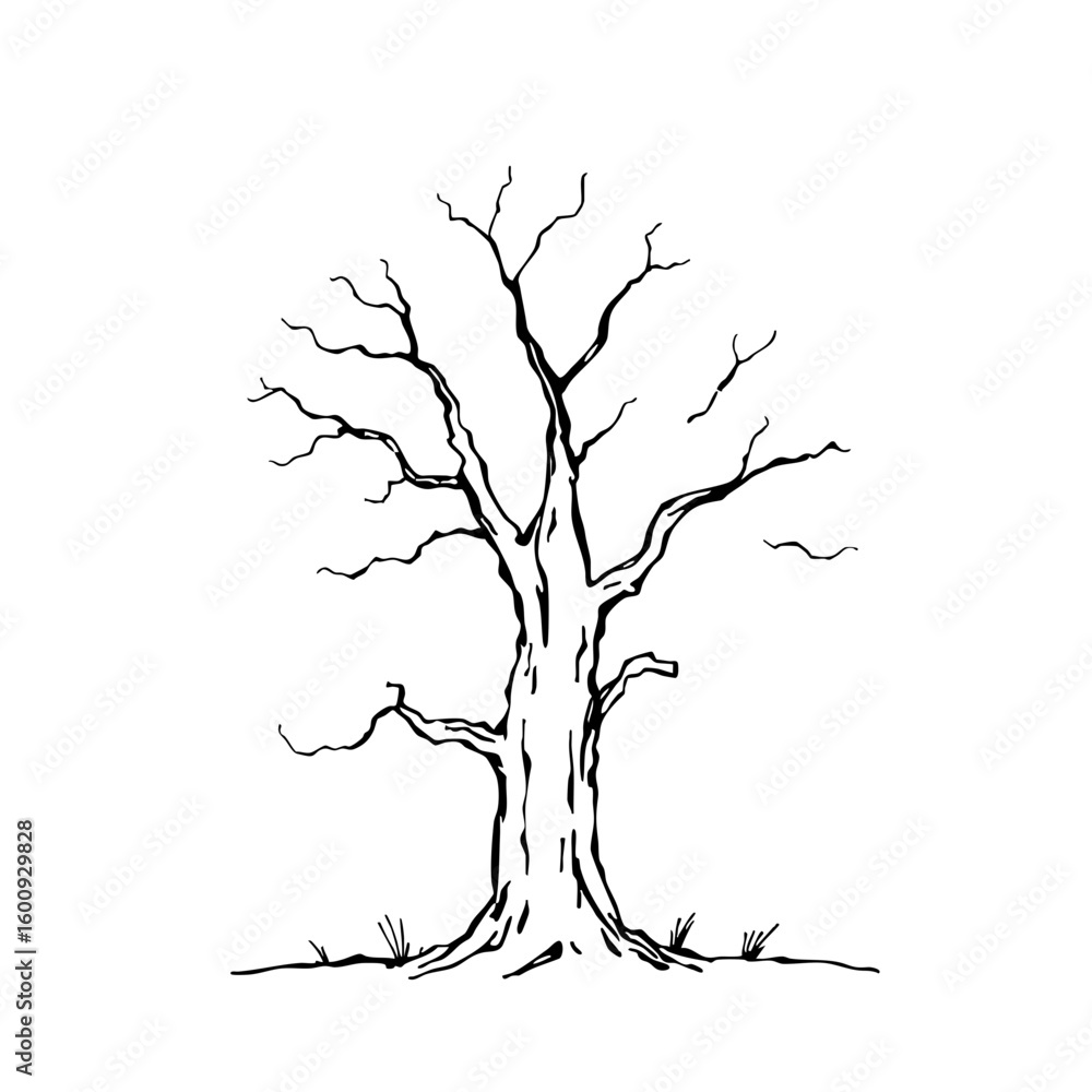 Fototapeta premium Haunted tree sketch representation in black and white 