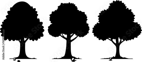 Tree Silhouette Collection – Pine, Fir & Deciduous Tree Icons vector bundle