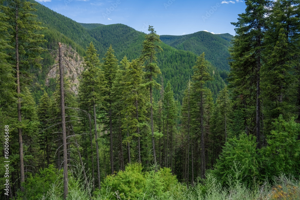 Obraz premium Diamond Lake Trail