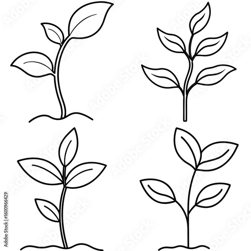 Sprouting Plant Coloring Page – Young Seedling Outline for Kids