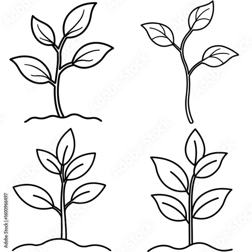 Sprouting Plant Coloring Page – Young Seedling Outline for Kids