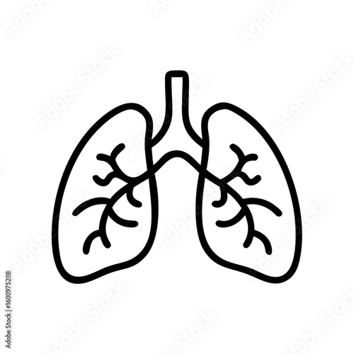 Line art illustration of human lungs with detailed bronchi  