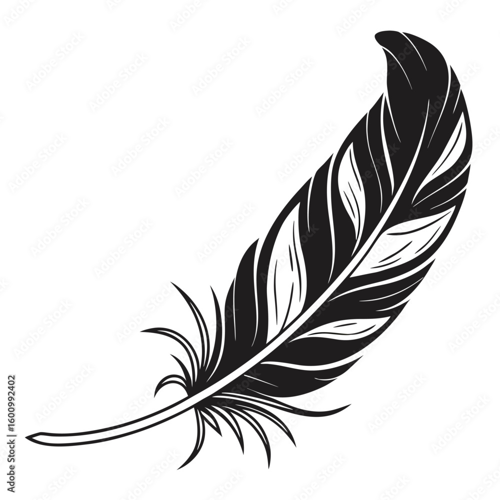 Obraz premium Elegant Black and White Feather Illustration for Design Projects