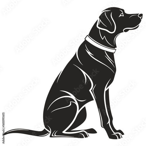 Elegant Black Labrador Dog Sitting Patiently Outdoors Attentive