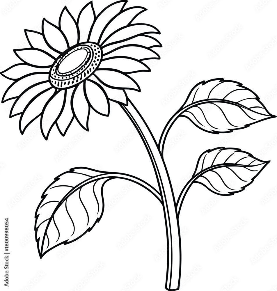 Fototapeta premium Simple black and white line art illustration of a sunflower.