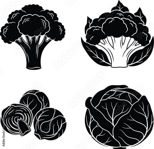 Broccoli cauliflower cabbage brussels sprouts vector illustration healthy eating vegetables icon set