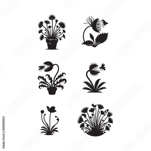 carnivorous plant