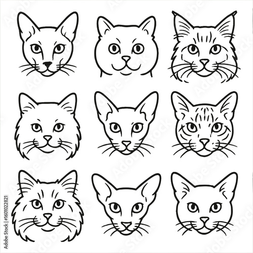 Outline Cat Head Icons. Outline style icons of Cat Head Front View: forward-facing Siamese, staring British Shorthair, attentive