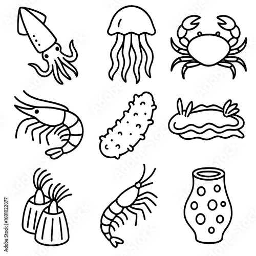 Ocean Invertebrate Icons. Outline style icons of Ocean Invertebrates: squid, jellyfish, crab, shrimp, sea cucumber, nudibranch,