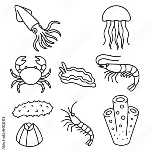 Ocean Invertebrate Icons. Outline style icons of Ocean Invertebrates: squid, jellyfish, crab, shrimp, sea cucumber, nudibranch,