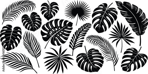 Print ropical leaves vector. Set of palm leaves silhouettes isolated on white background. Vector EPS