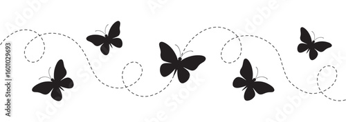 Black butterflies flying in a dashed line pattern on white background butterfly flight path