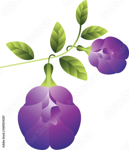 Vibrant Butterfly Pea Flowers on Branch