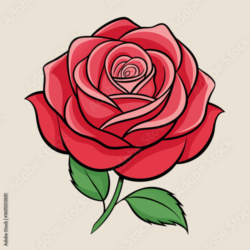 red rose vector illustration