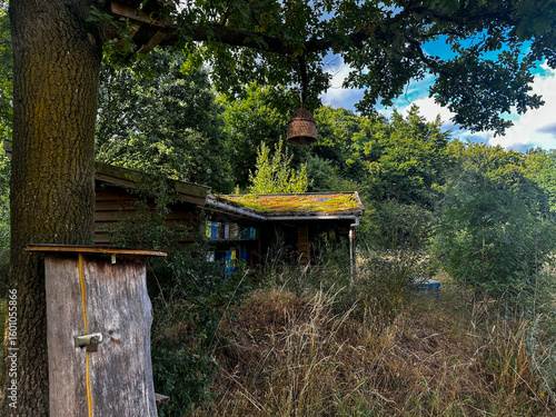 Colorful beehives under green-roof shelter. A straw skep hangs from an oak tree amid wild grass and bushes. Heemtuin Malden, a public ecological garden in the Netherlands, July 2025