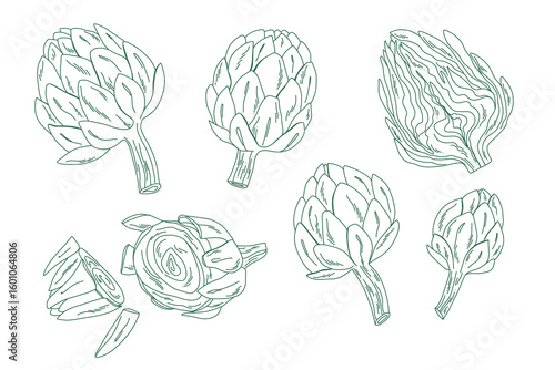 Outline vegetable bundle with artichokes, minimal line drawing collection for food projects