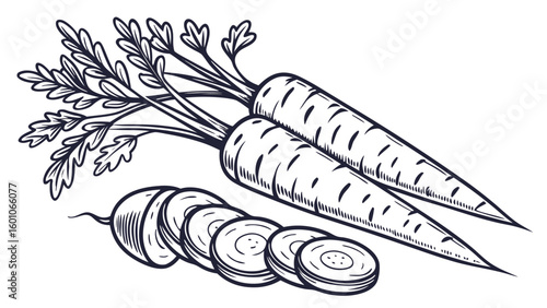 Fresh Carrots: A detailed and artistic monochrome illustration of two fresh carrots, complete with leafy greens, and a few slices, evoking a sense of farm-freshness and culinary delight.