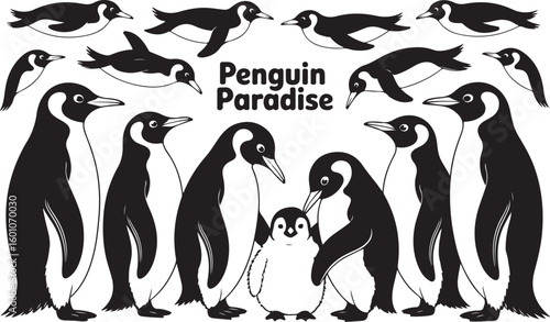 Black and white penguins swimming and standing vector