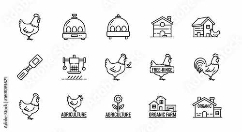 Poultry Farming Line Icon Set – Vector Chicken, Eggs, Incubator, Henhouse, Rooster, Organic Farm, Free-Range Thin Linear Illustrations