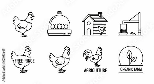 Poultry Farming Line Icon Set – Vector Chicken, Eggs, Incubator, Henhouse, Rooster, Organic Farm, Free-Range Thin Linear Illustrations