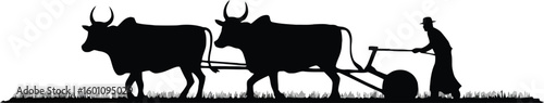 Farmer guiding oxen pulling a plow in a field during traditional agriculture silhouette