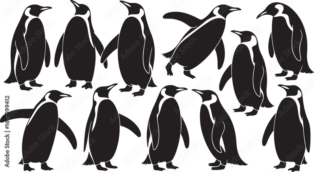 Obraz premium Black penguins standing and walking white