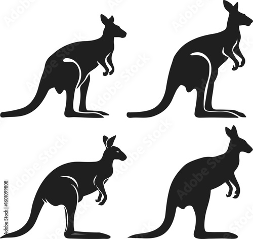 kangaroo vector illustration
