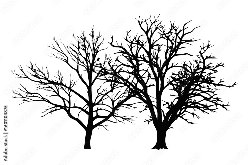 Obraz premium Silhouette tree vector graphic design element for autumn and winter season art